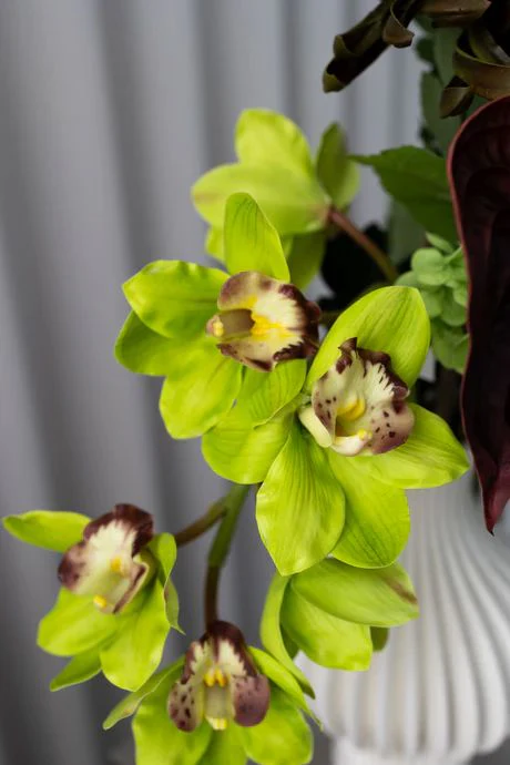Bloom Objects - Sculpted Flora Bouquet 02-477 - Multi - Image 3