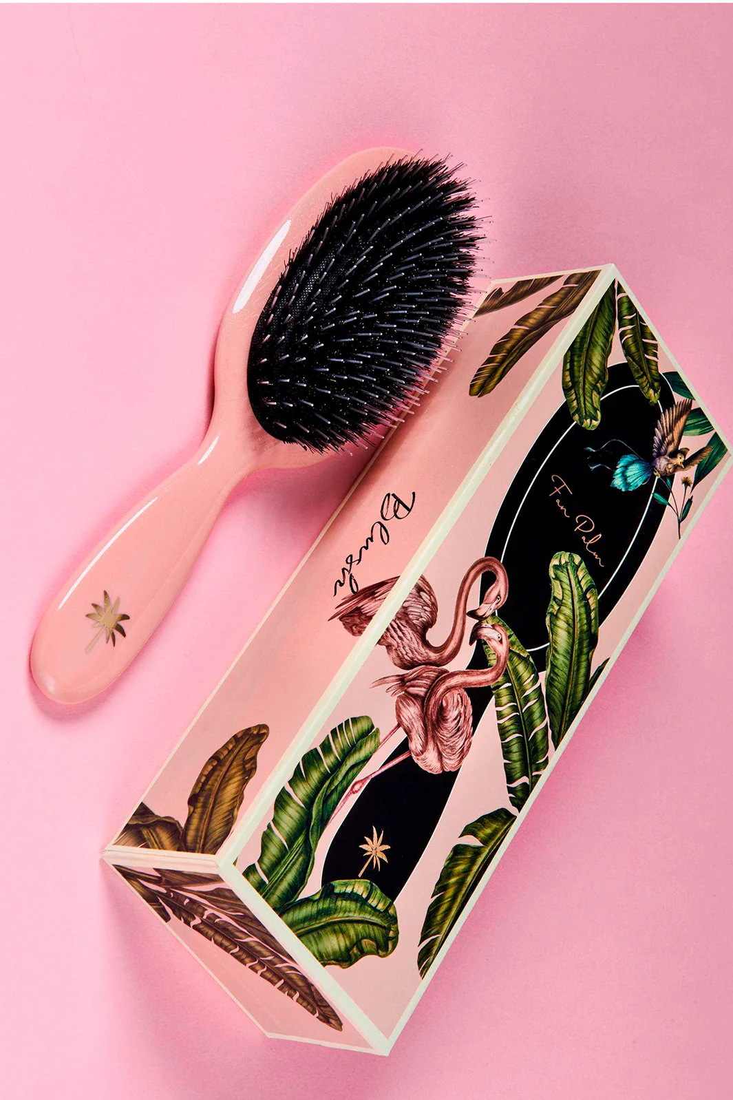 Fan Palm - Hair Brush Medium - Blush