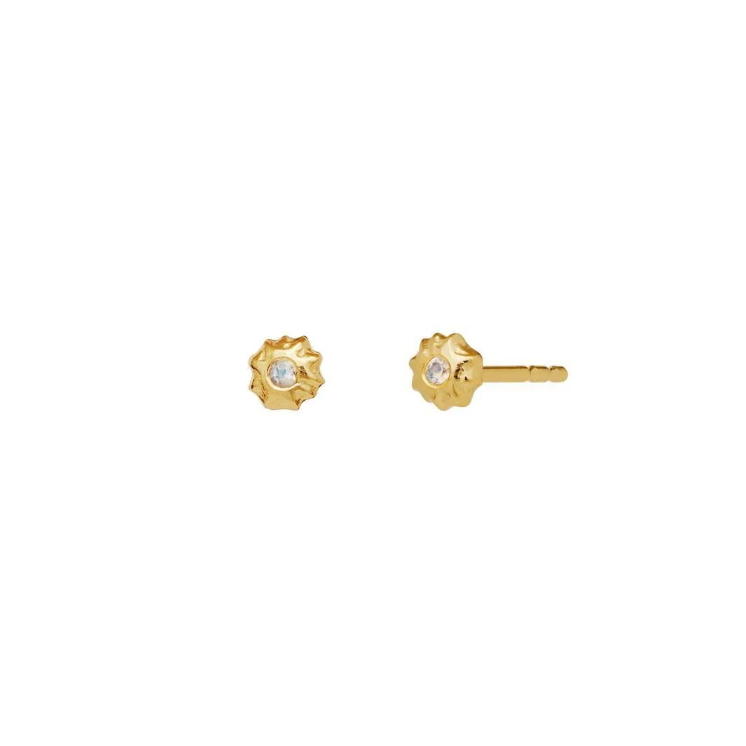 Maanesten - Caia Earrings - 9982a - Image 3